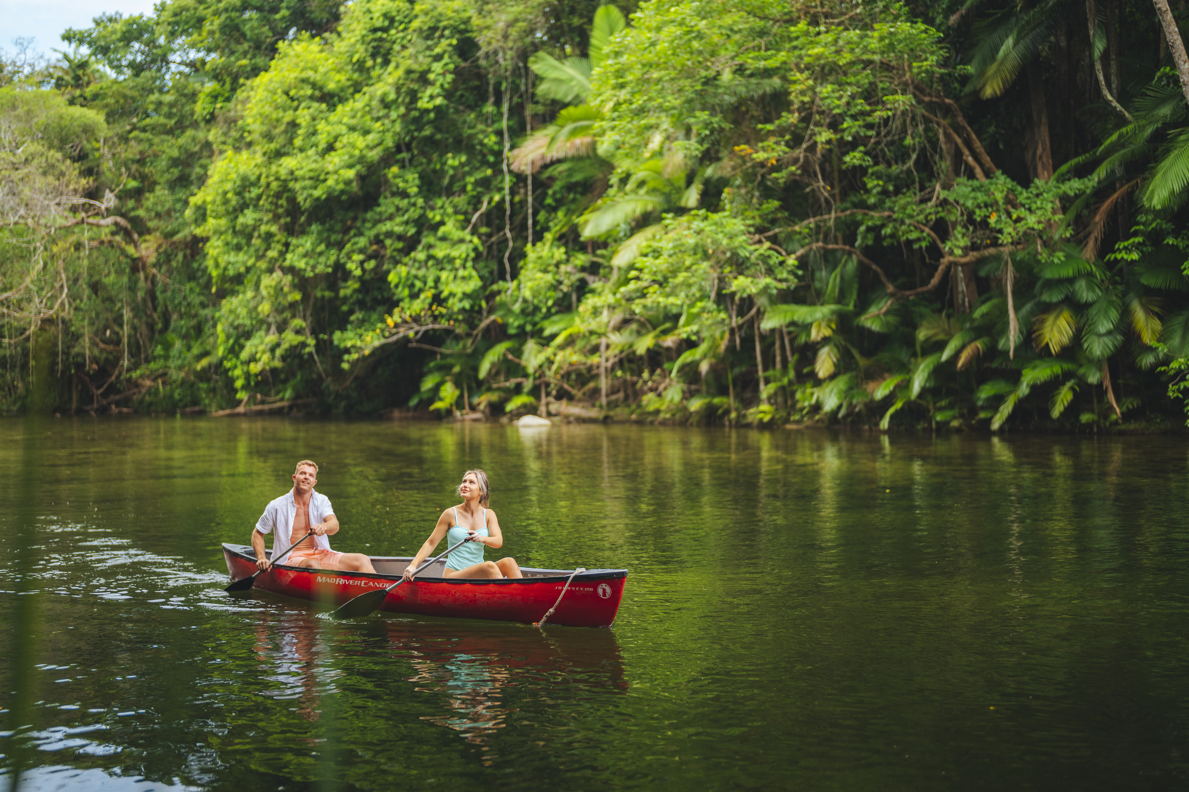 Uncovering the Magic of the Daintree Rainforest on Your Honeymoon